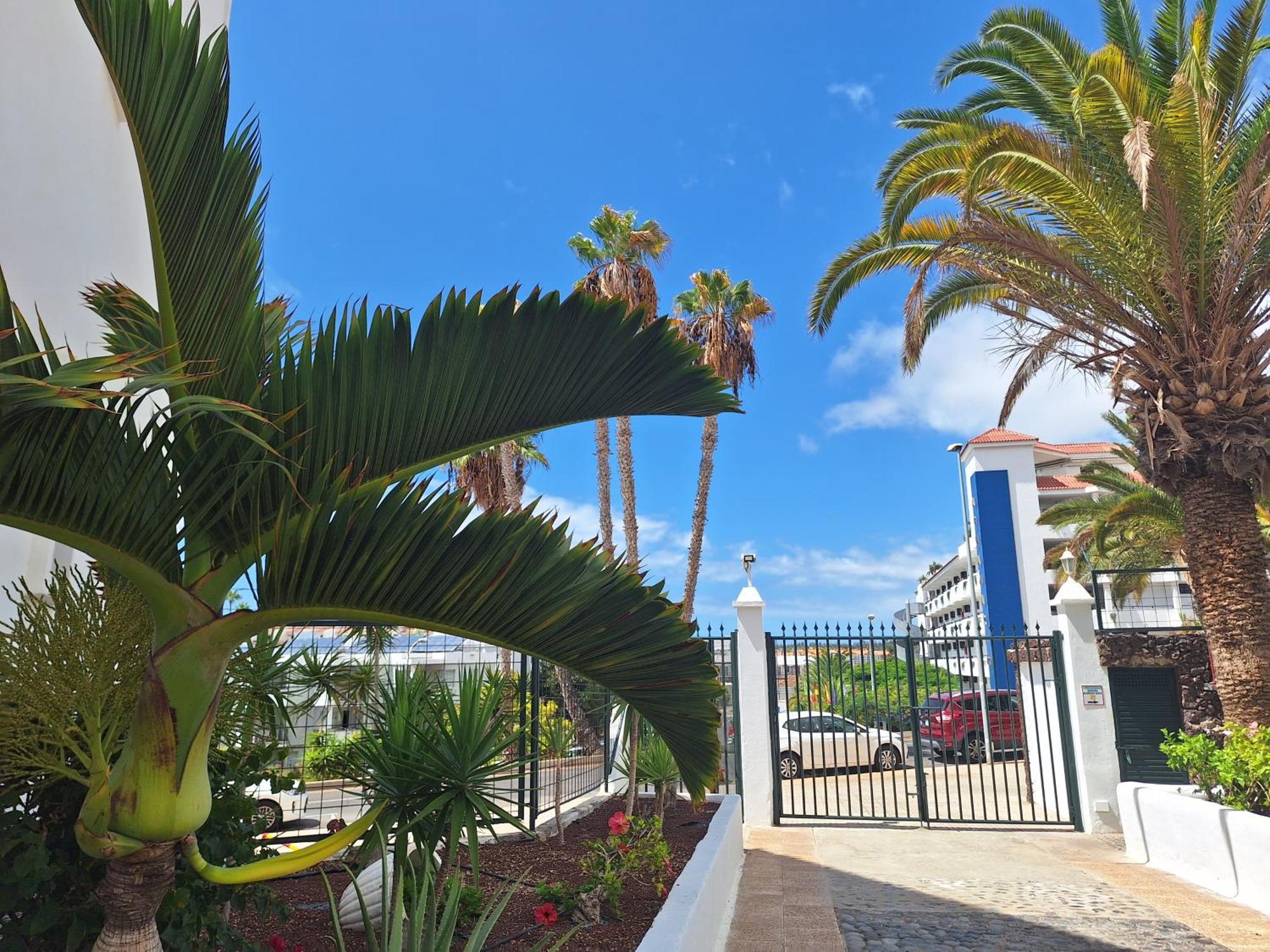 Ferienwohnung Parque Margarita, Terraza Vista Piscina Los Cristianos  Exterior foto